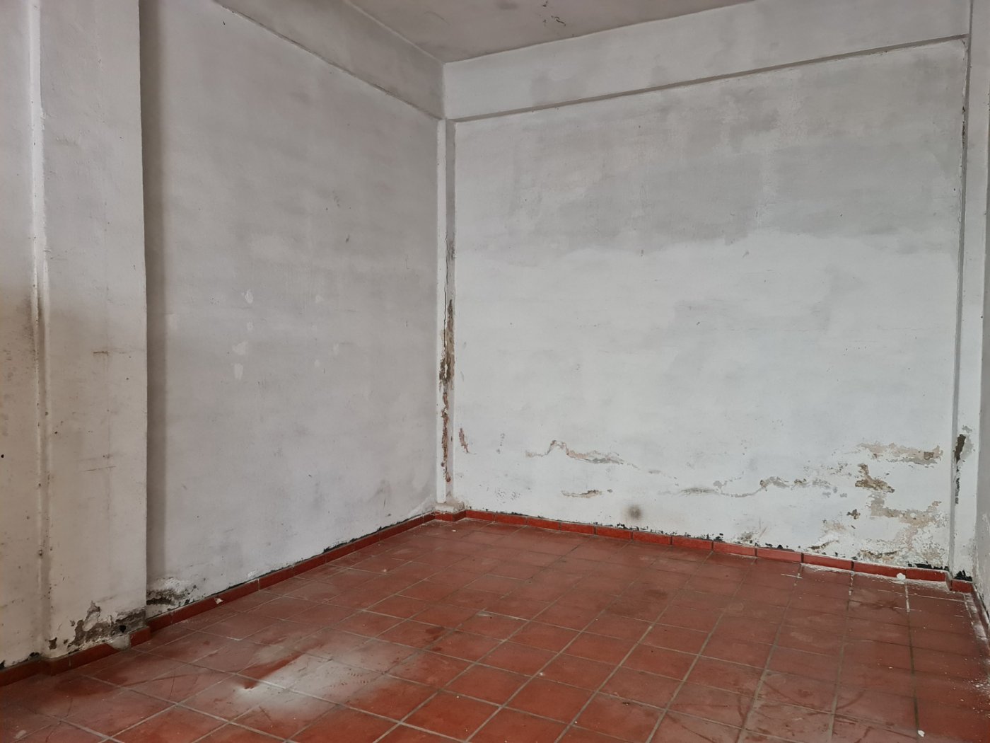 Gran oportunidad de inversion - 12