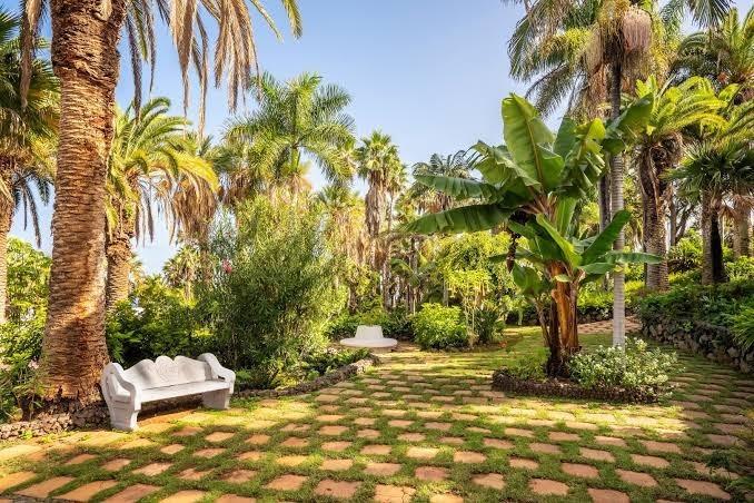 Acogedor estudio con vistas al mar y excelentes comodidades - 13