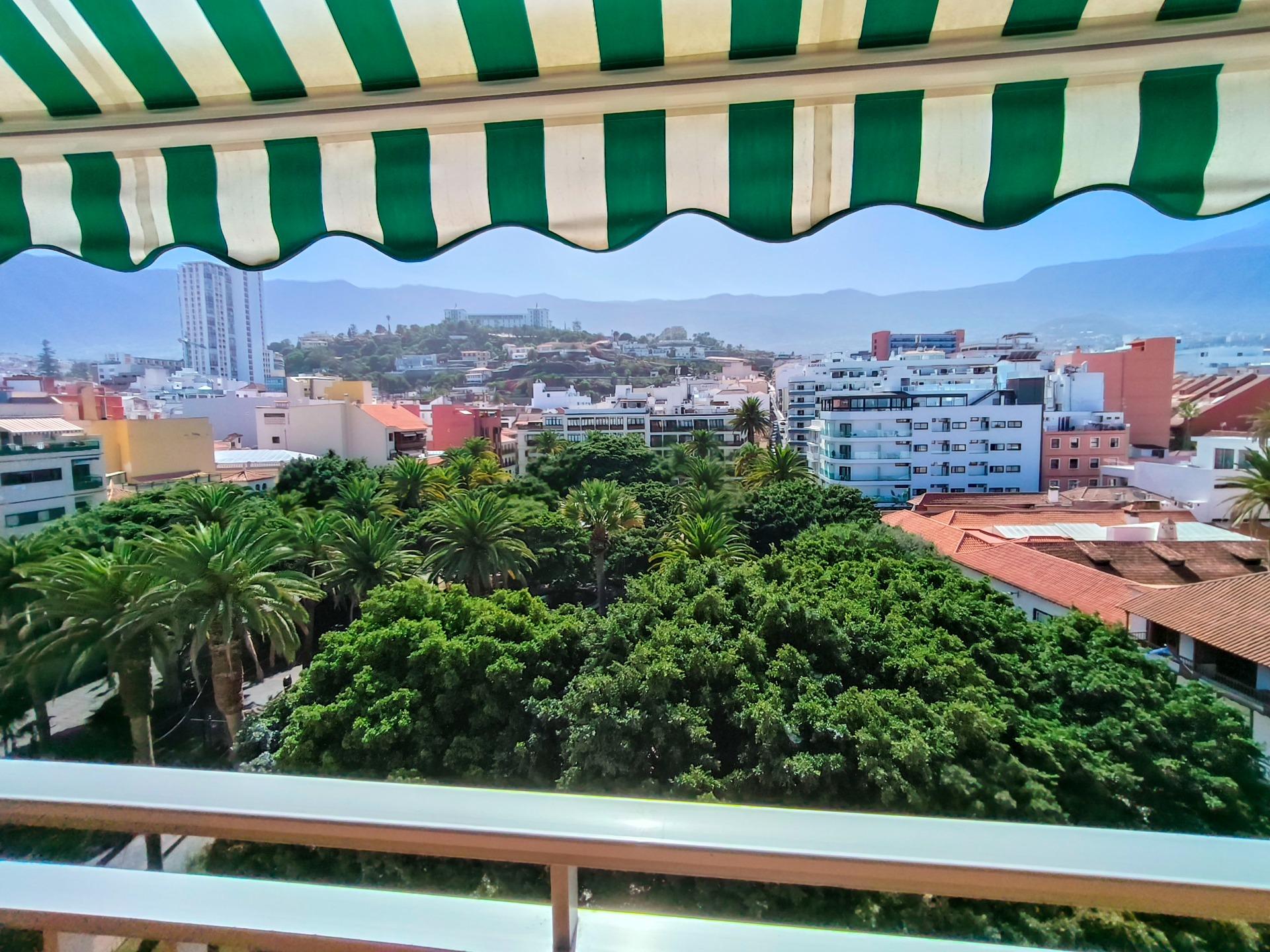 Estudio con terraza y vistas al Teide · Puerto de la Cruz - 1