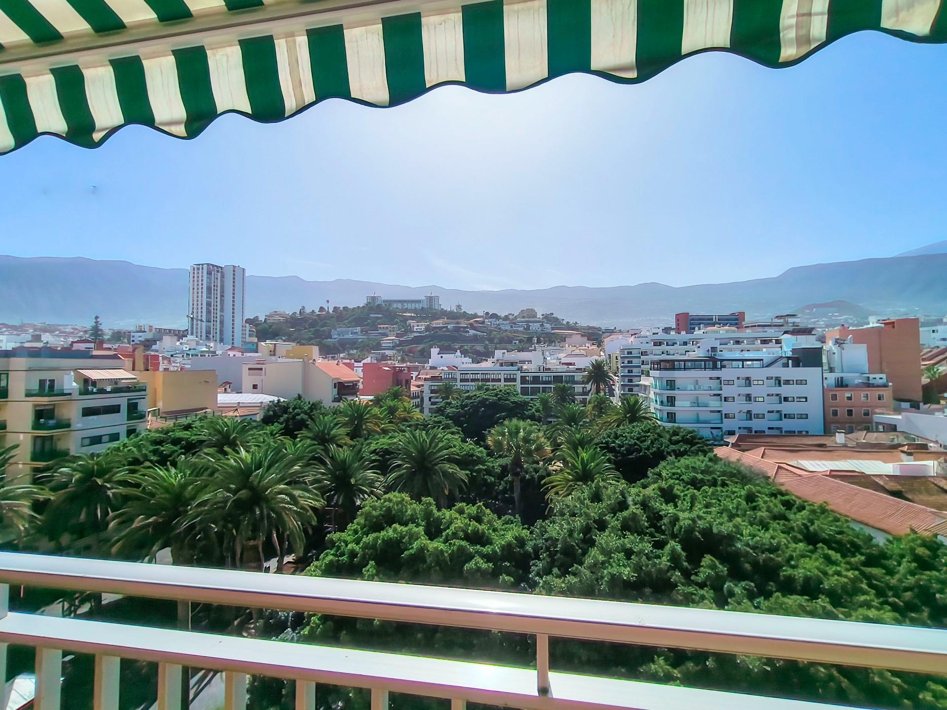 Estudio luminoso con terraza y vistas al Teide · Puerto de la Cruz - 18
