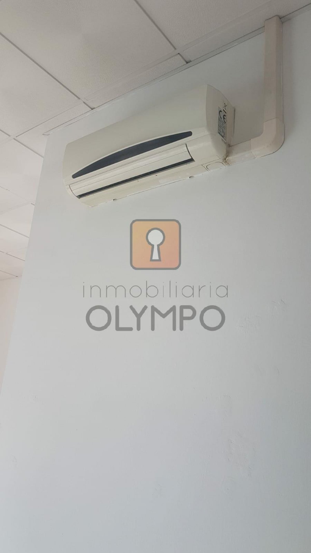 LOCAL COMERCIAL A PIE DE CALLE ZONA LA SALLE - 6