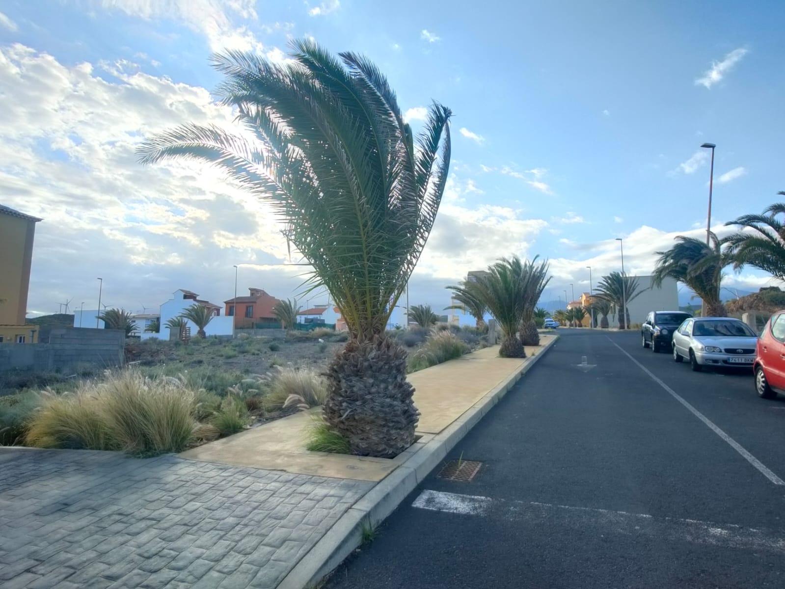 🏡 Terreno en venta en La Listada – Arico 🌊 - 3