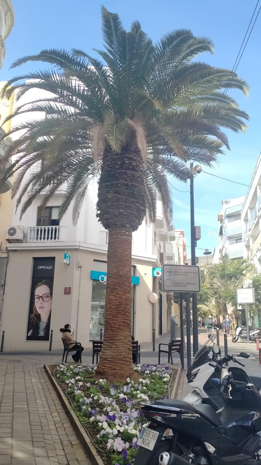 🍕 Oportunidad única: Traspaso de pizzería italiana con clientela fiel en pleno centro de Santa Cruz - 16